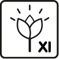 Blommande månader: 11 – 12