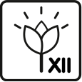 Blommande månader: 11 – 12