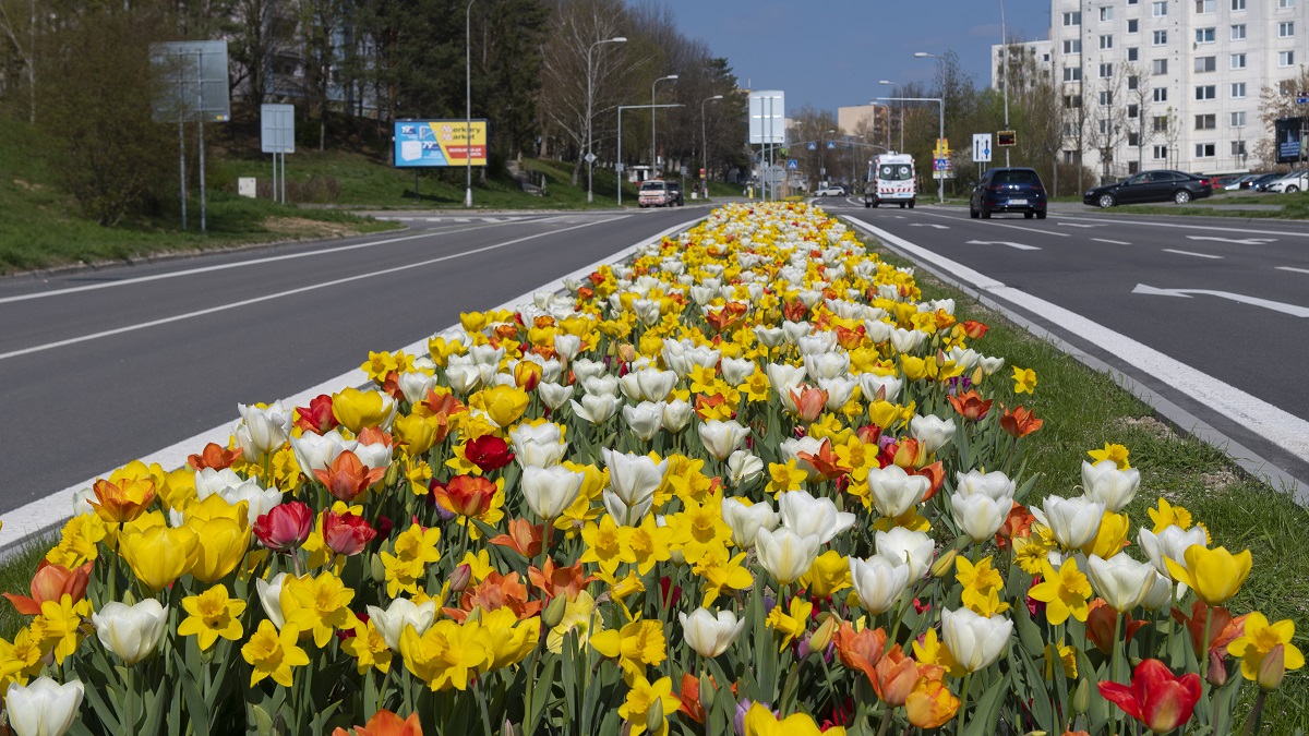 Machinaal planten
