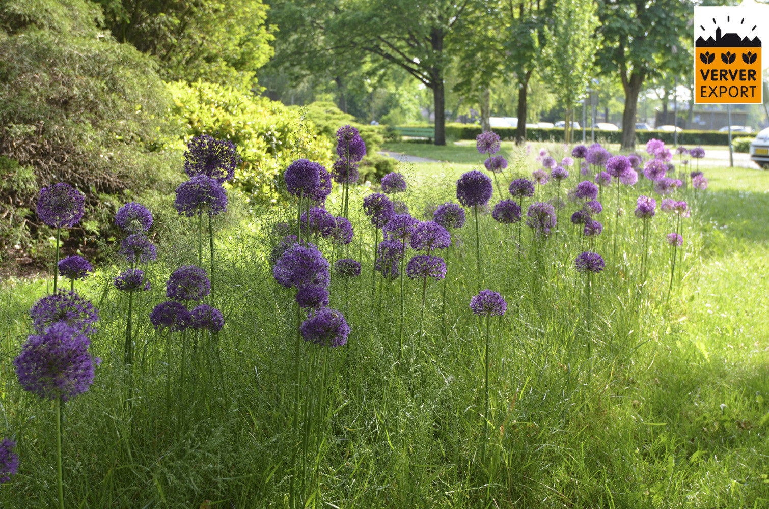 Maskin för plantering