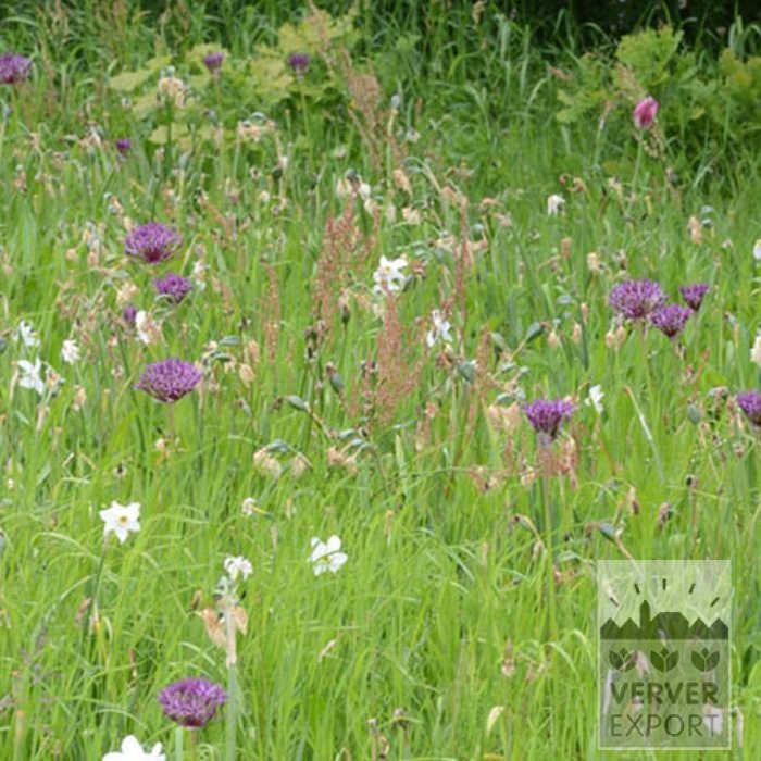 Kits 'Flora Nature' © (11317) - Bild 5