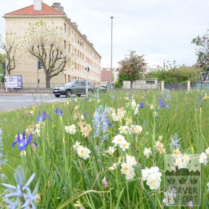 Kits 'Flora Livry-Gargan' © (11381) - Bild 3