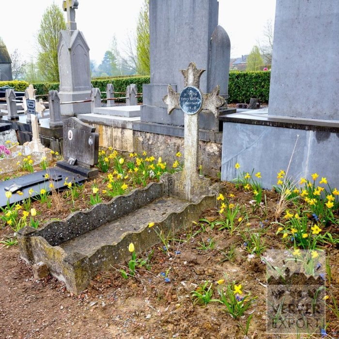 Kit 'Cemetery bulbs for between the headstones' (11719)