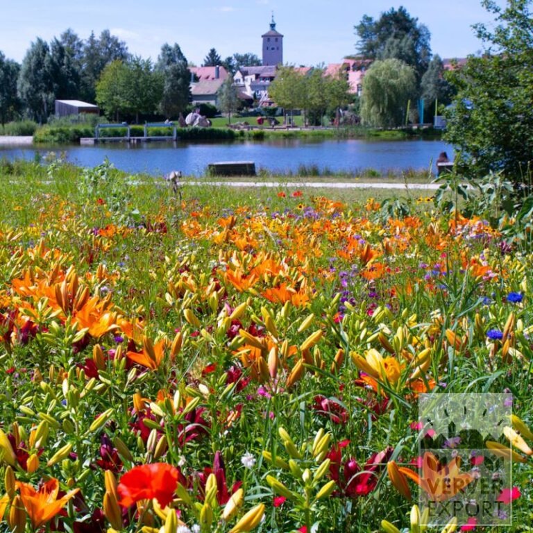 Kits Verver 'Hot Summer' © (21048) - Bild 3