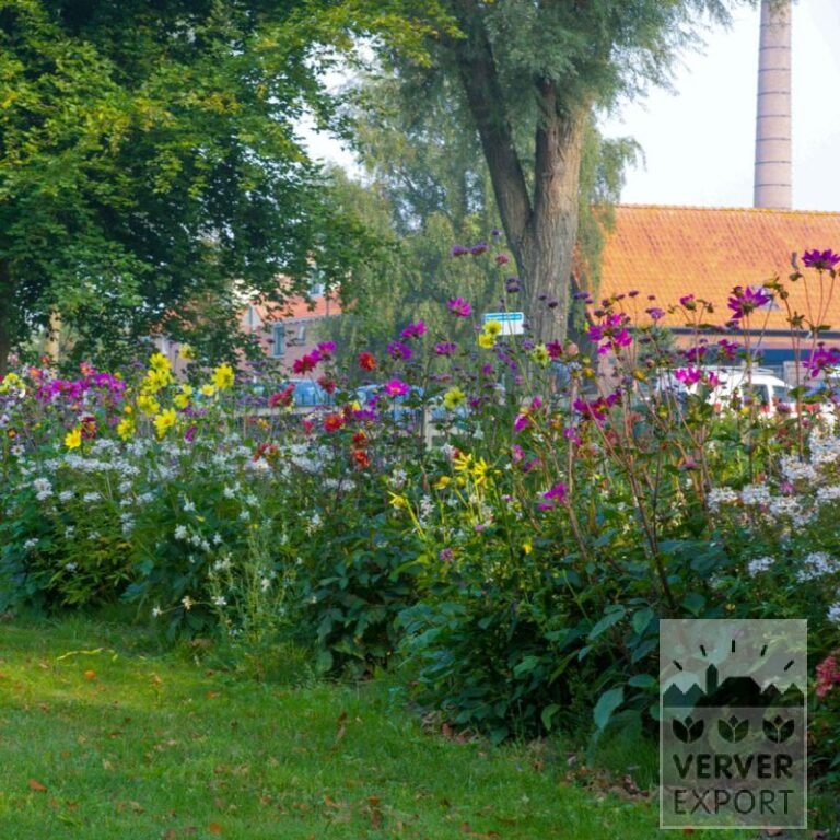 Summer Trams Verver 'Bees & Butterflies' © / 6 m² (29309) - Bild 2