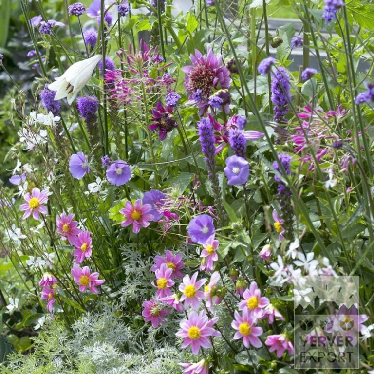 Summer Trams Verver 'Bouquet Estival Romantique' © / 5 m² (29311) - Bild 2