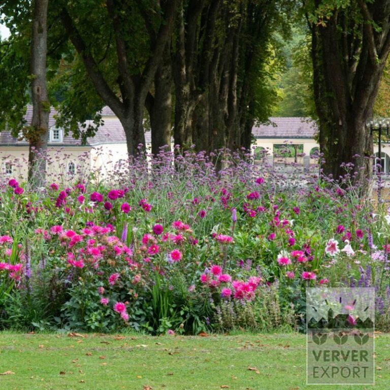 Summer Trams Verver 'Bouquet Estival Romantique' © / 5 m² (29311)