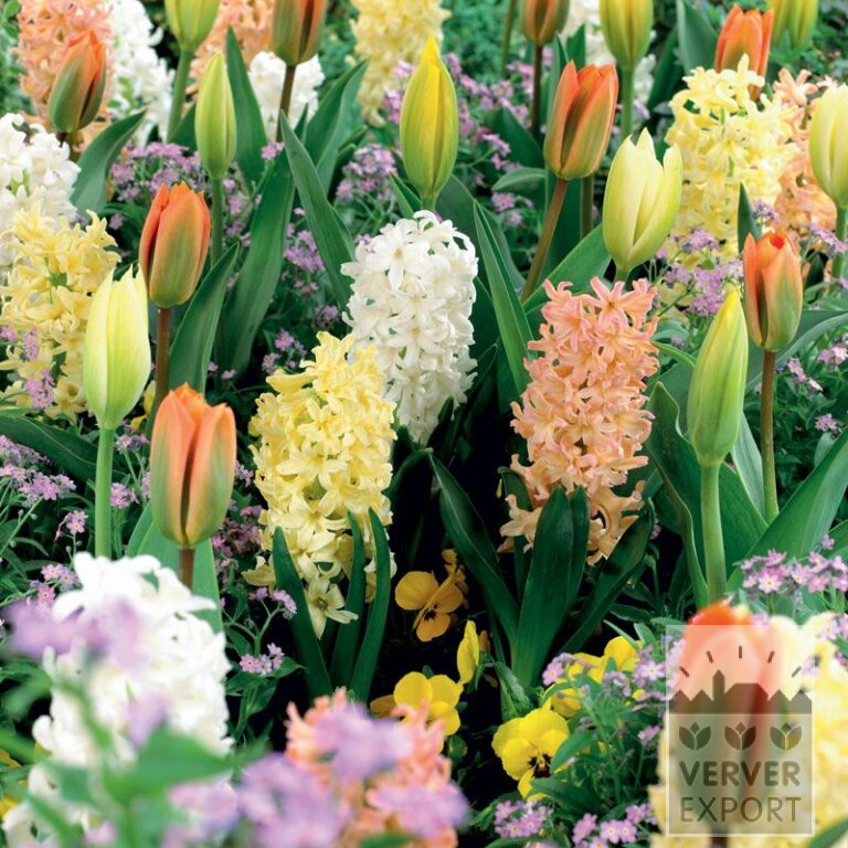 Mixture Verver 'Parfum des Vosges' © (11151)