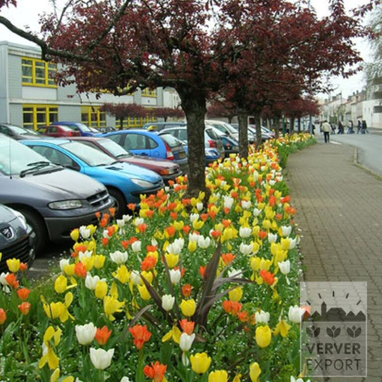 Mixture Verver 'Ville d'Auxerre' © (11027) - Bild 6