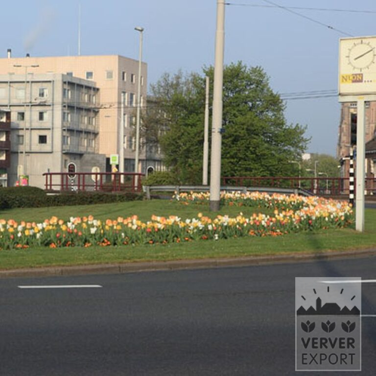 Mixture Verver 'Ville d'Auxerre' © (11027) - Bild 8