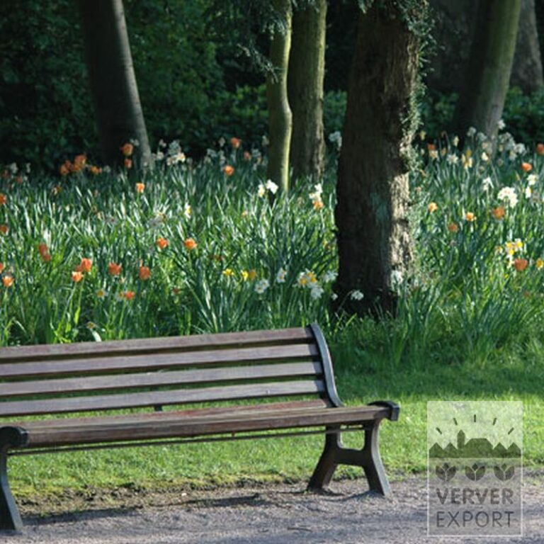 Tulips 'Orange Emperor' (12050) - Bild 5