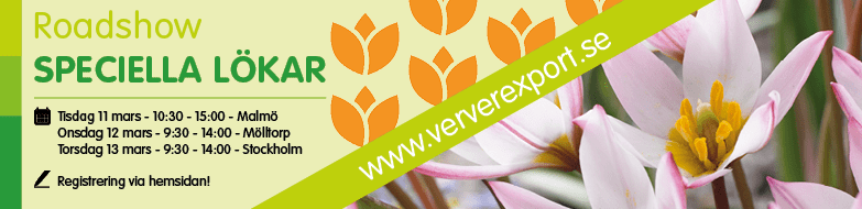 Evenemang Roadshow Sweden 2024