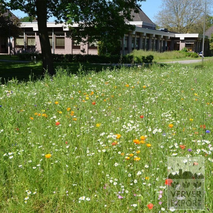 Kits 'Nature Fiesta' © (11791) - Bild 3